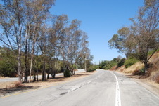 Enlarge photo 102
