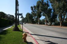 Enlarge photo 31