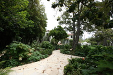 Enlarge photo 62
