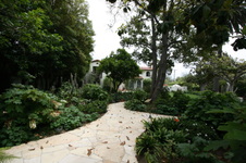 Enlarge photo 63