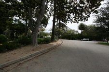 Enlarge photo 64
