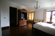 Enlarge photo 67