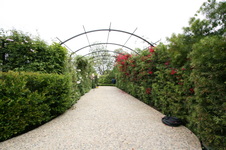 Enlarge photo 106