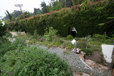 Enlarge photo 74
