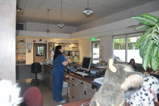 Enlarge photo 11