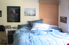 Enlarge photo 51