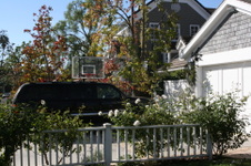 Enlarge photo 64