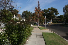 Enlarge photo 69