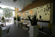 Enlarge photo 16