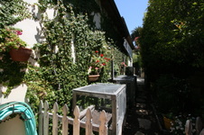 Enlarge photo 71