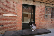 Enlarge photo 21