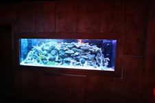 Enlarge photo 48