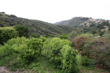 Enlarge photo 60