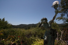 Enlarge photo 59