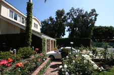 Enlarge photo 2