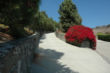Enlarge photo 1