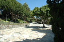 Enlarge photo 16