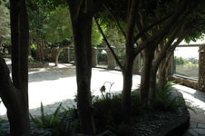 Enlarge photo 34