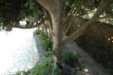 Enlarge photo 35