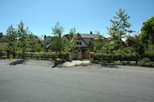Enlarge photo 1