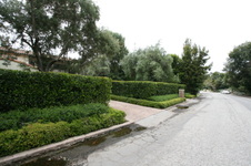 Enlarge photo 68