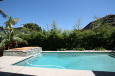 Enlarge photo 34
