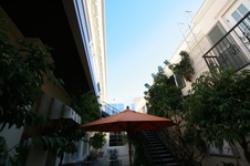 Enlarge photo 65