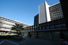Enlarge photo 66