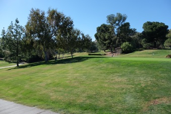 Enlarge photo 40