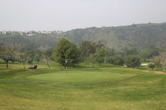 Enlarge photo 137