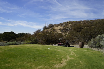 Enlarge photo 45