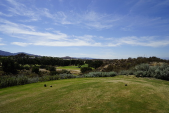 Enlarge photo 46