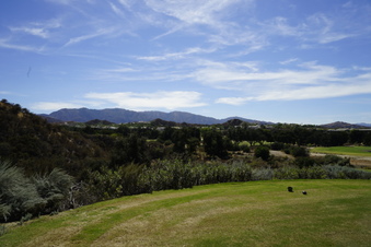 Enlarge photo 47