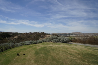 Enlarge photo 48
