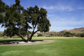 Enlarge photo 51