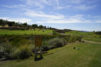Enlarge photo 66