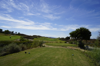 Enlarge photo 68