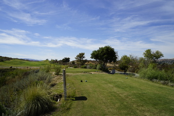 Enlarge photo 70