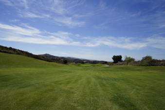 Enlarge photo 73