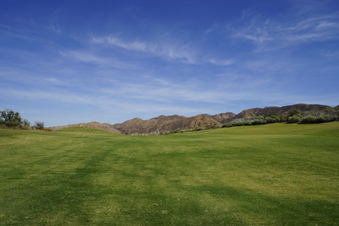 Enlarge photo 74