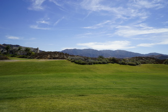 Enlarge photo 79