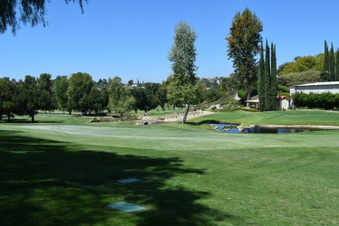 Enlarge photo 172
