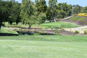 Enlarge photo 176