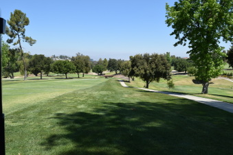Enlarge photo 190