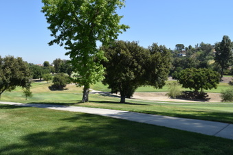 Enlarge photo 191