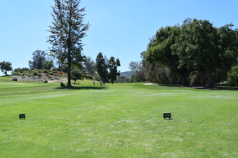 Enlarge photo 195