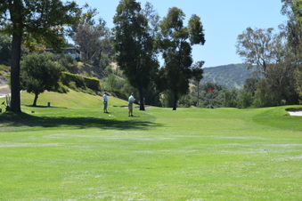 Enlarge photo 196