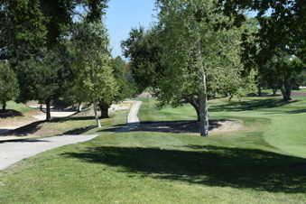 Enlarge photo 199