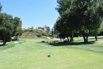 Enlarge photo 204
