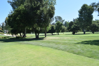 Enlarge photo 205